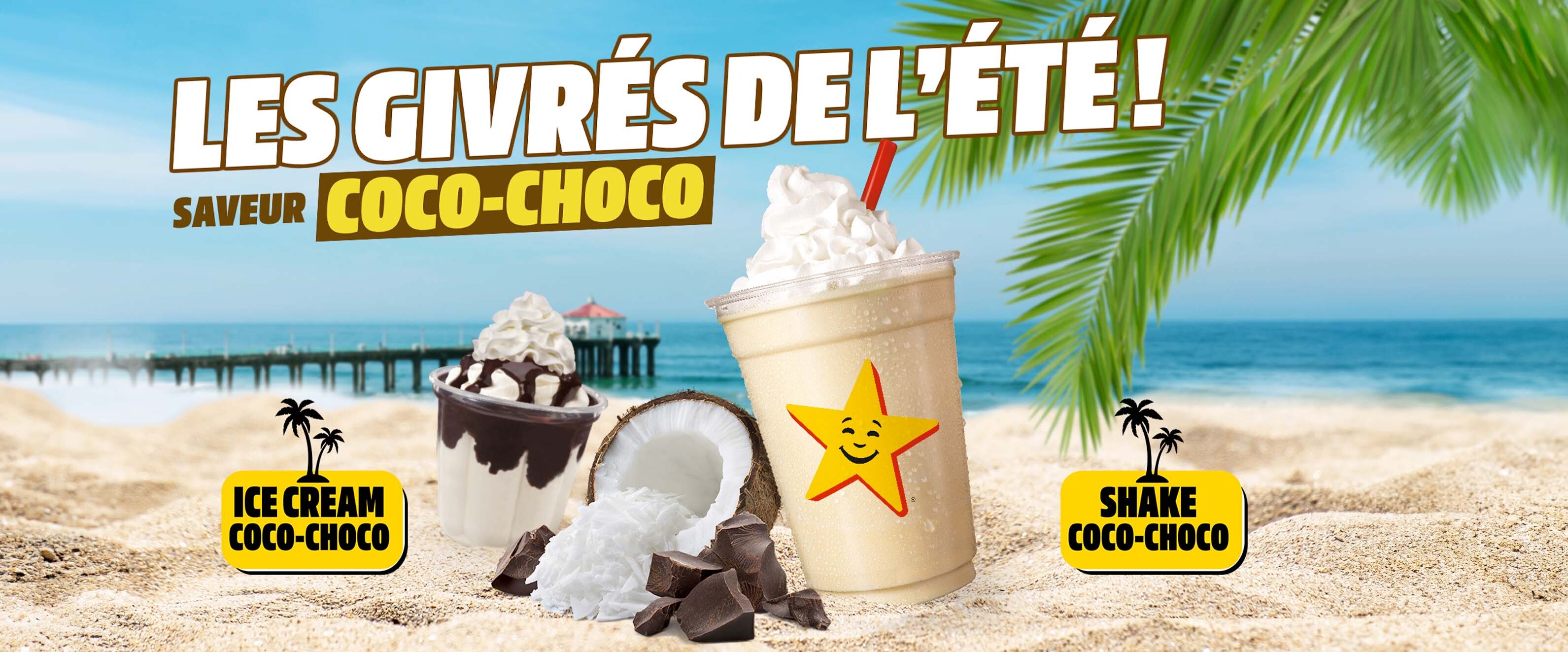 Les givrés de l'été ! Saveur Coco-Choco